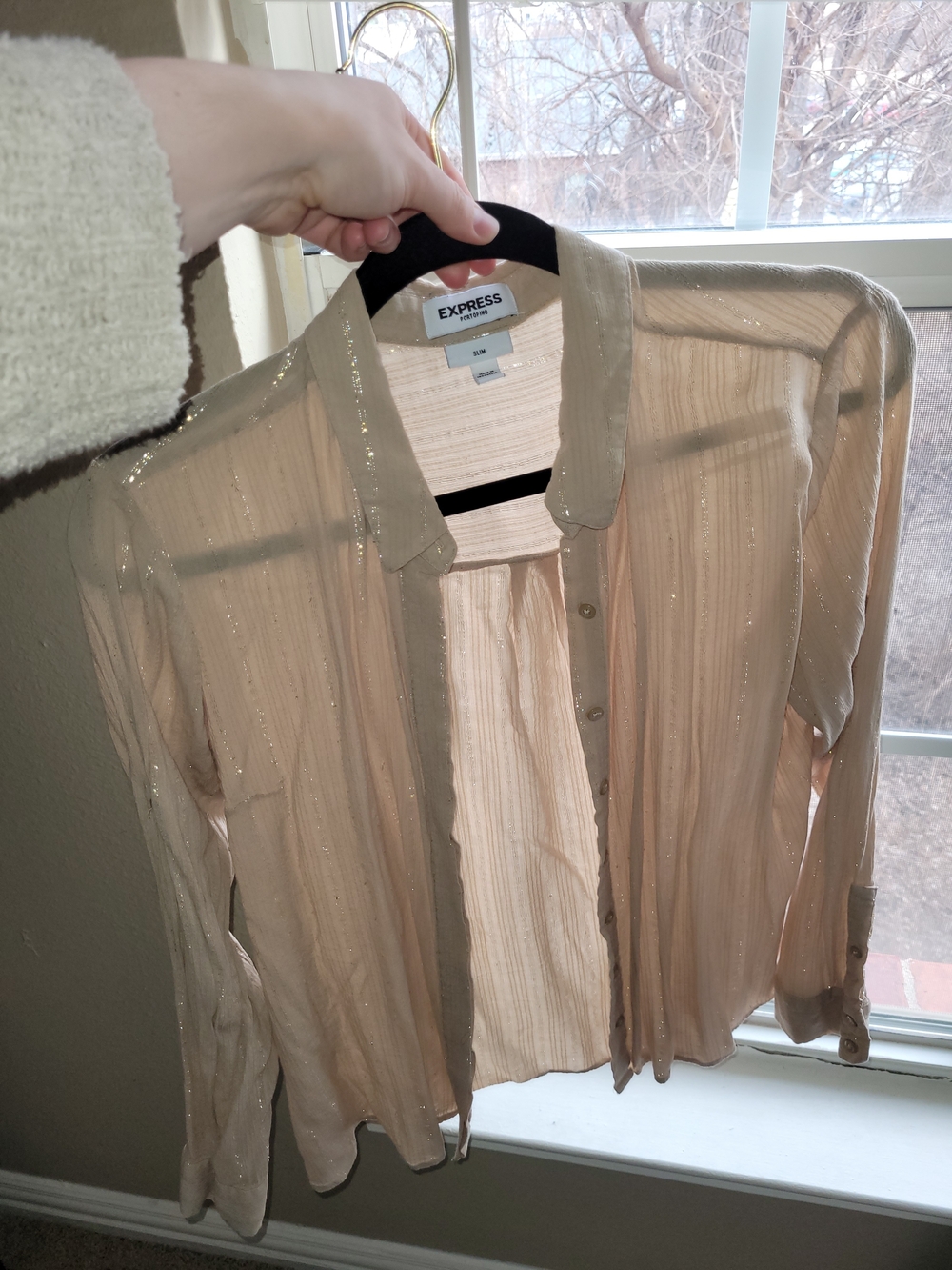 Express Sheer Metallic Beige Button-Up Blouse